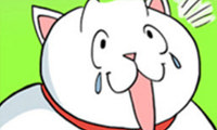 Lay Lay Cat